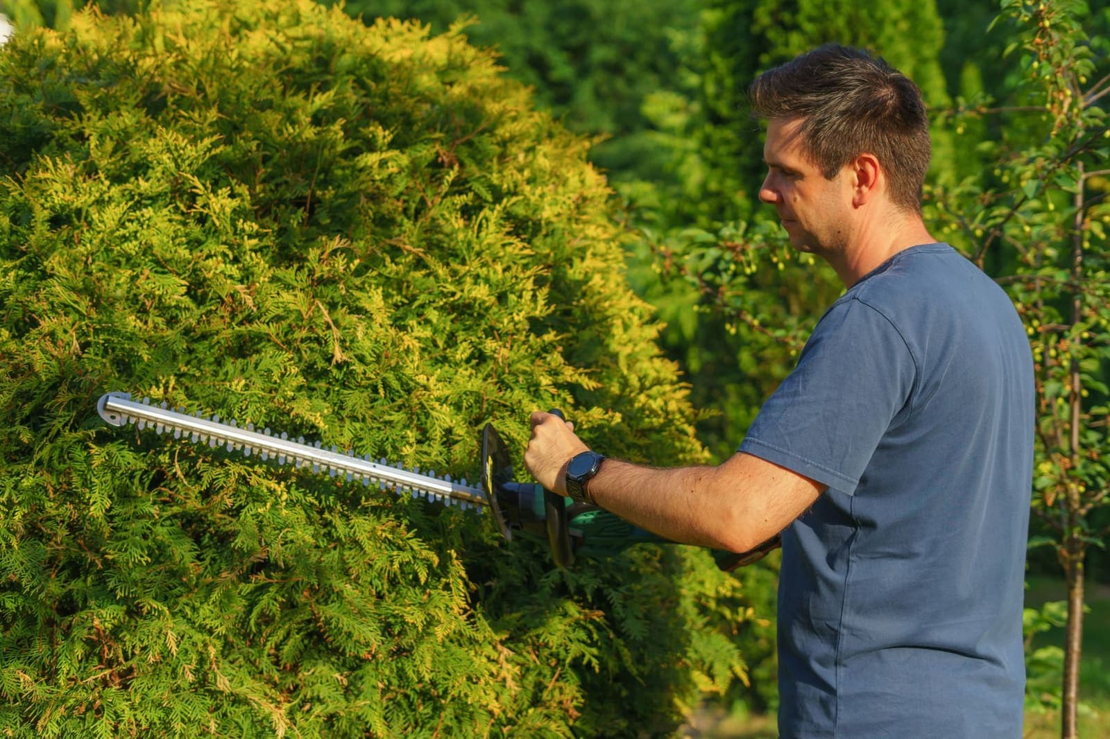 Garden & Outdoor services in Offaly, Ireland